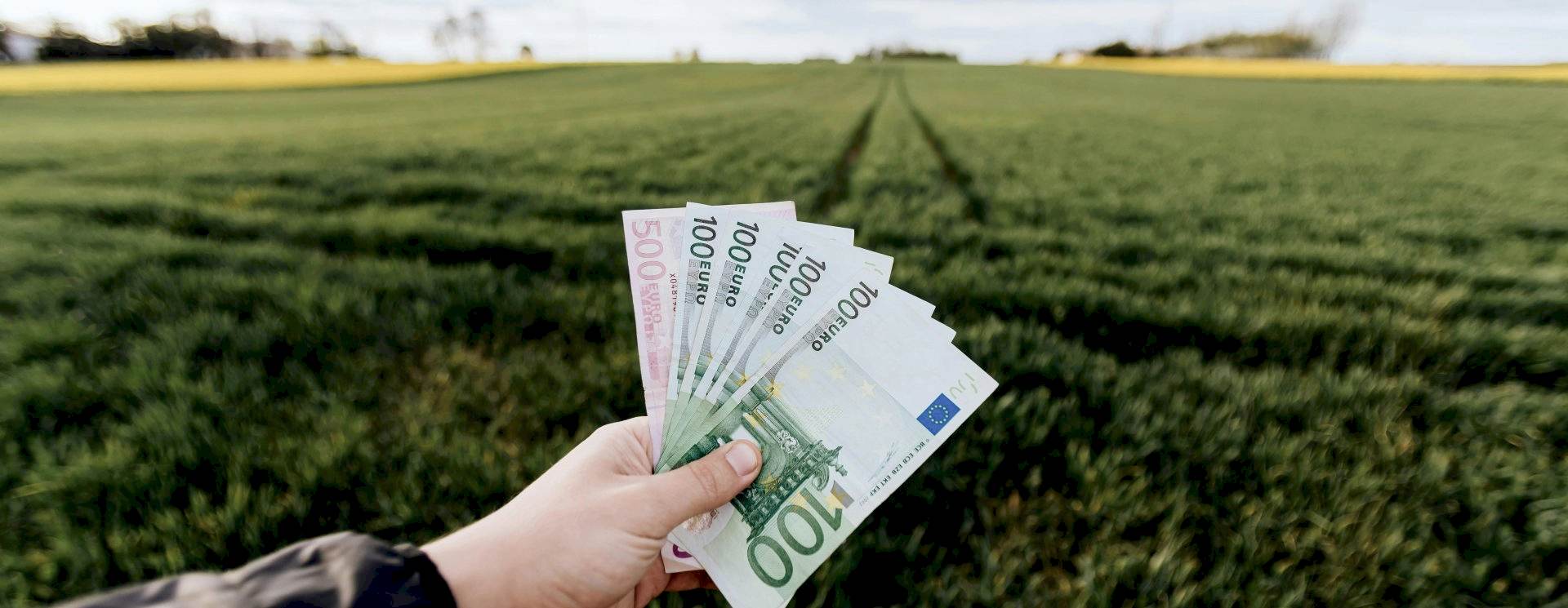 stok gözetim programı hk.